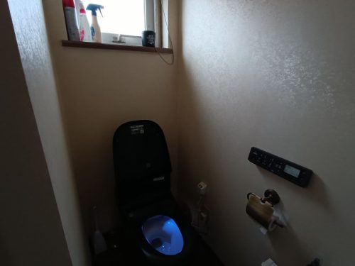 IMG 20251206 144329 1024