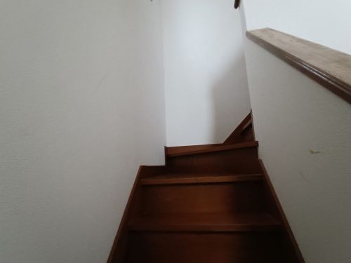 IMG 20251206 144337 1024